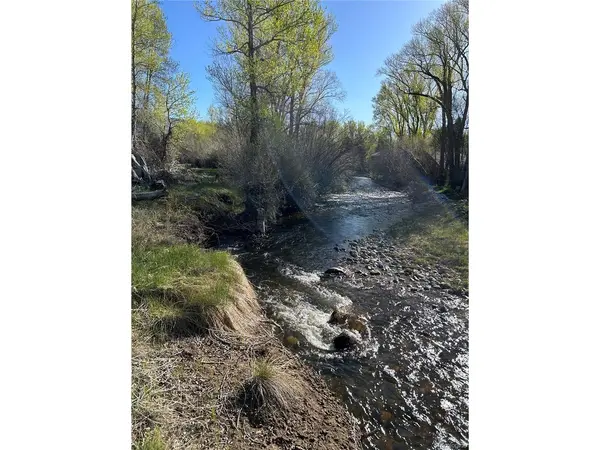 CR 361, Buena Vista, CO 81211