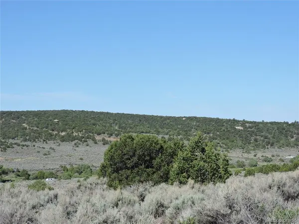 7563 Dolder, Fort Garland, CO 81133