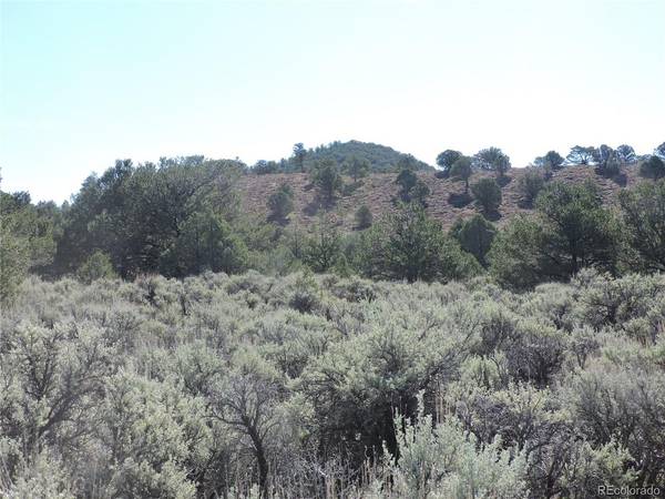7563 Dolder, Fort Garland, CO 81133