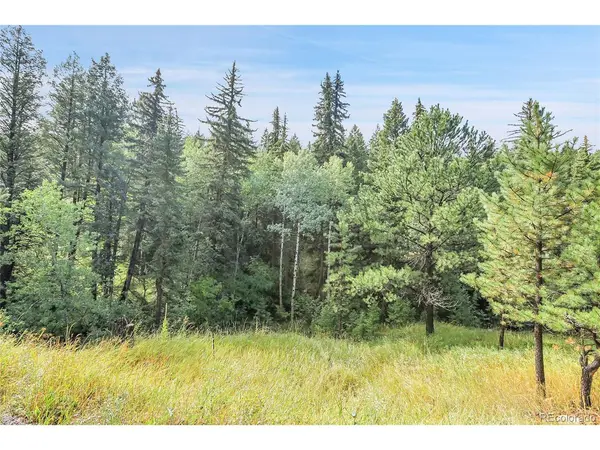 TBD Mountain Park, Evergreen, CO 80439