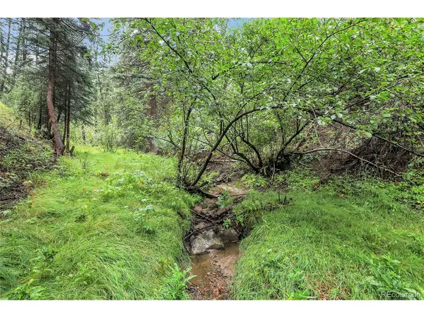 TBD Mountain Park, Evergreen, CO 80439