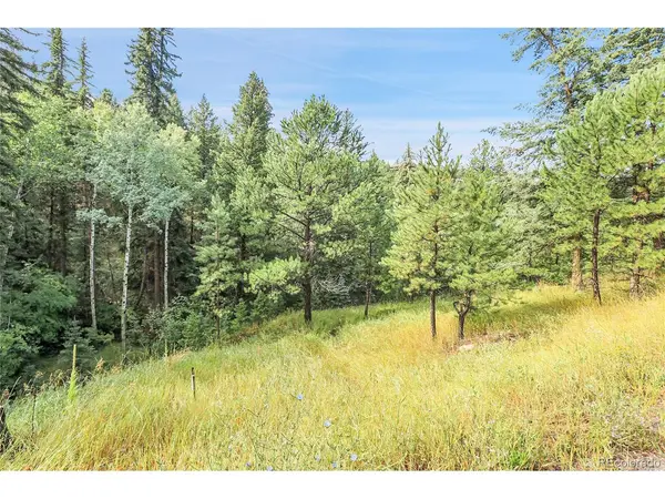 TBD Mountain Park, Evergreen, CO 80439