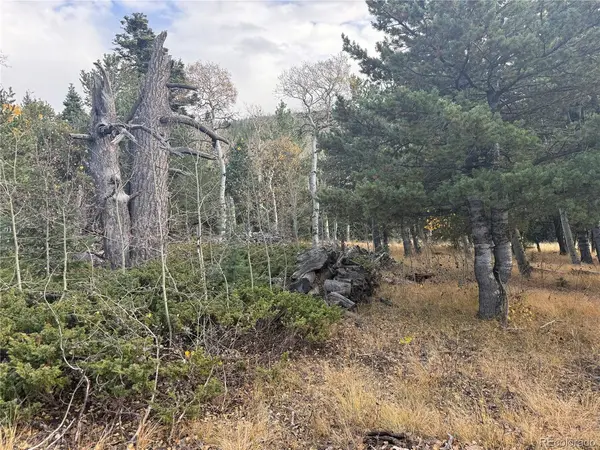 2663 Petito, Fort Garland, CO 81133