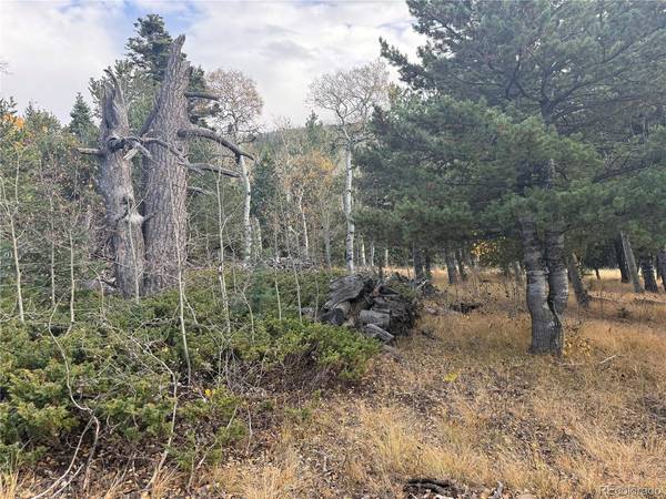 2663 Petito, Fort Garland, CO 81133