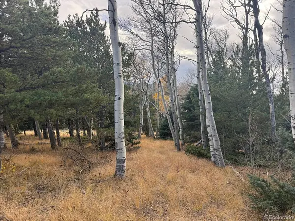 2663 Petito, Fort Garland, CO 81133