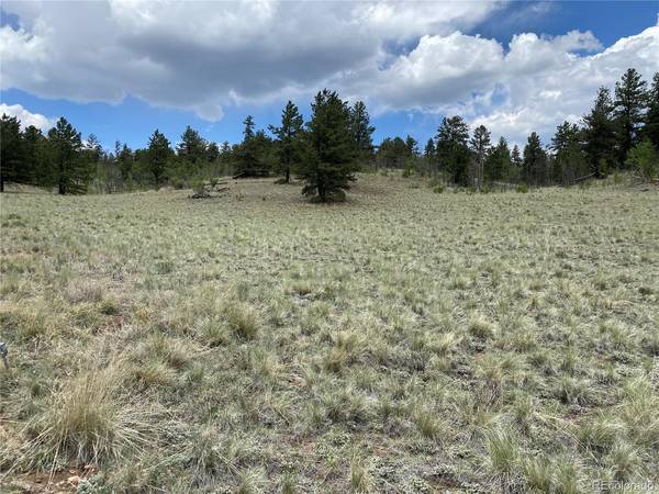 0 Al Gulch, Jefferson, CO 80456