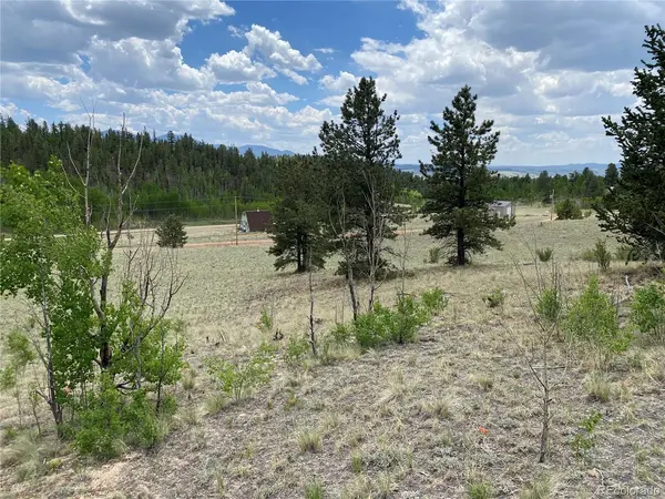 0 Al Gulch, Jefferson, CO 80456