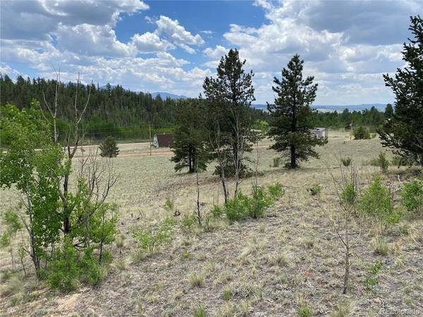 0 Al Gulch, Jefferson, CO 80456