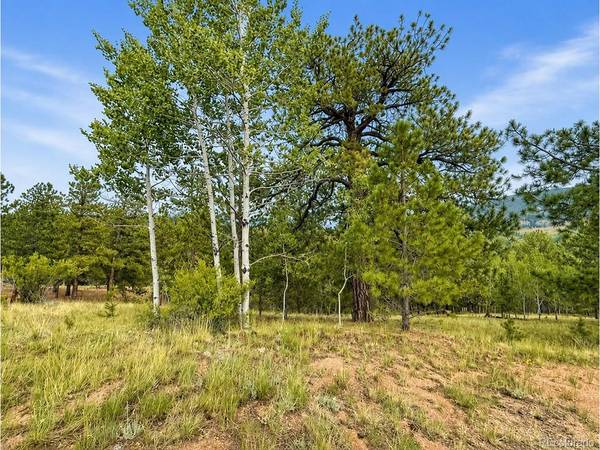 88 May Queen,  Cripple Creek,  CO 80813