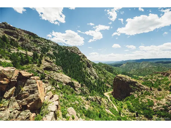 Shelf, Florissant, CO 80816