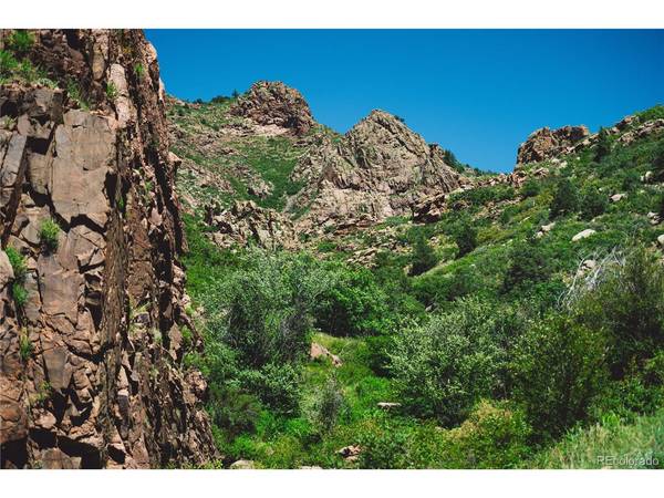 Shelf, Florissant, CO 80816