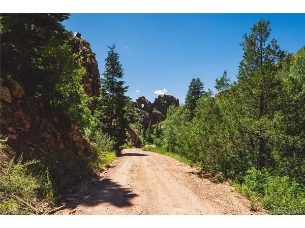 Shelf, Florissant, CO 80816
