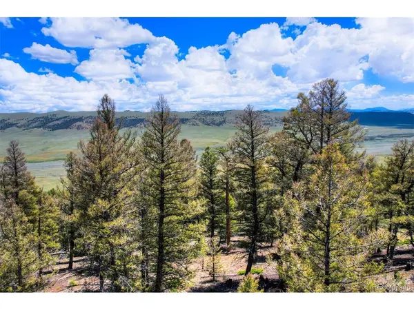 262 Middle Fork, Fairplay, CO 80440