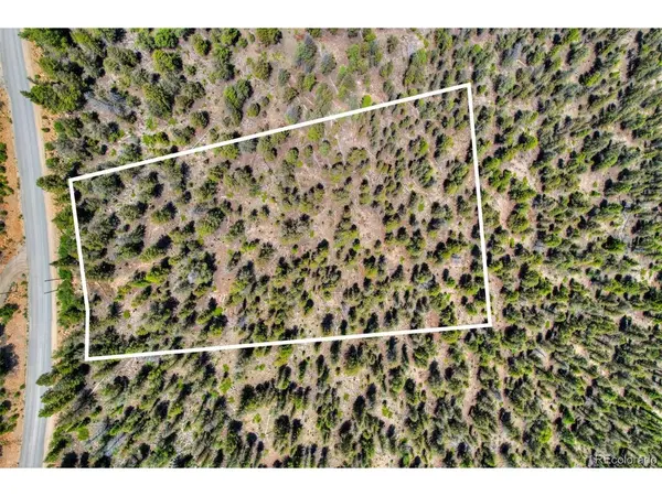 262 Middle Fork, Fairplay, CO 80440