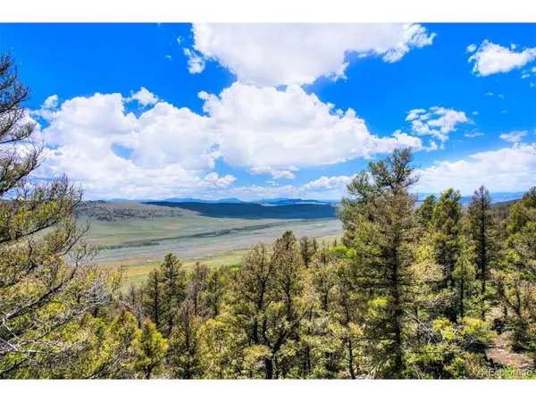 262 Middle Fork, Fairplay, CO 80440