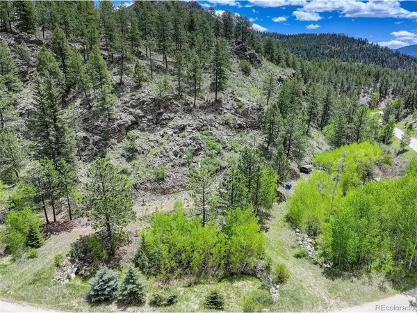 400 Crow Valley, Bailey, CO 80421