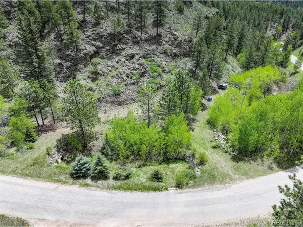 400 Crow Valley, Bailey, CO 80421