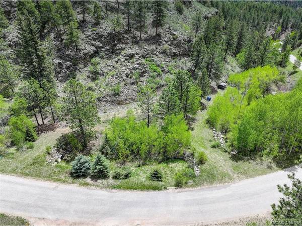 400 Crow Valley, Bailey, CO 80421