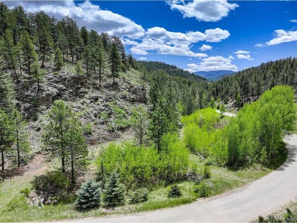 400 Crow Valley,  Bailey,  CO 80421