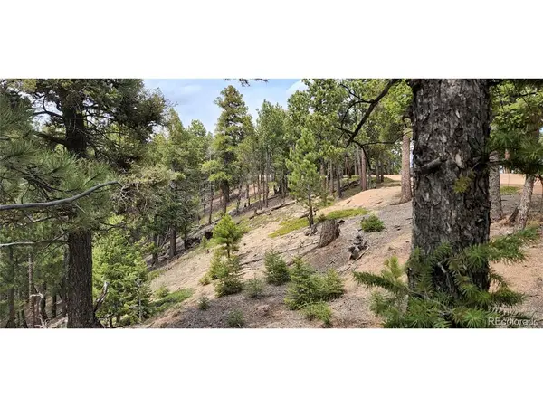 13985 Boulder, Larkspur, CO 80118