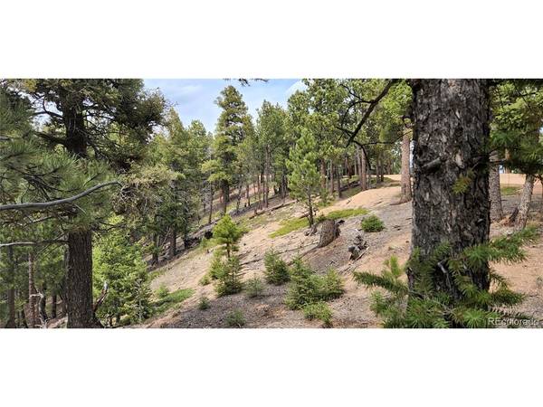 13985 Boulder, Larkspur, CO 80118