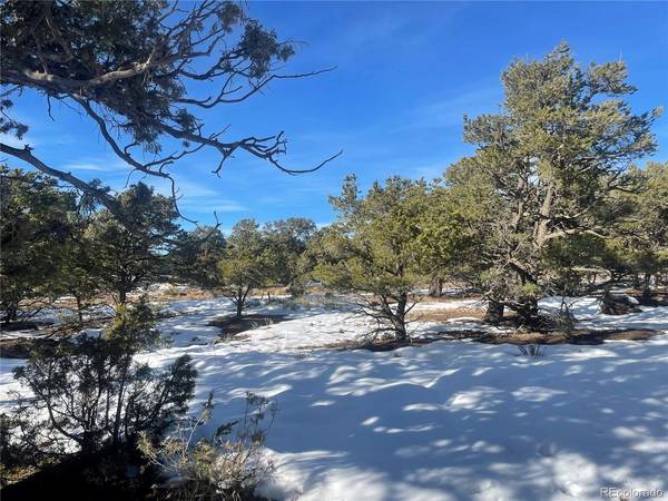 1195 Hilltop, Crestone, CO 81131