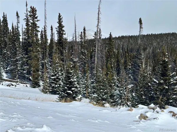Address not disclosed, Fairplay, CO 80440