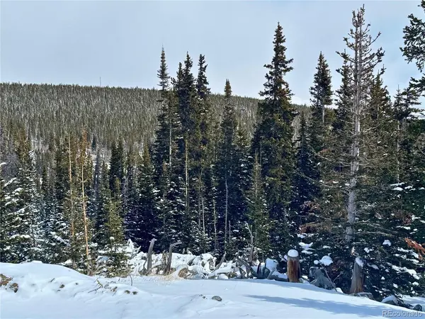 Address not disclosed, Fairplay, CO 80440