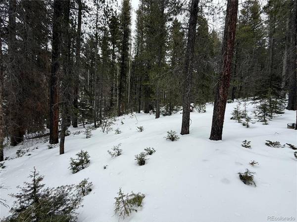2805 Moir, Fort Garland, CO 81133