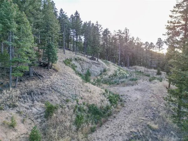 26779 Fern Gulch Road, Evergreen, CO 80439