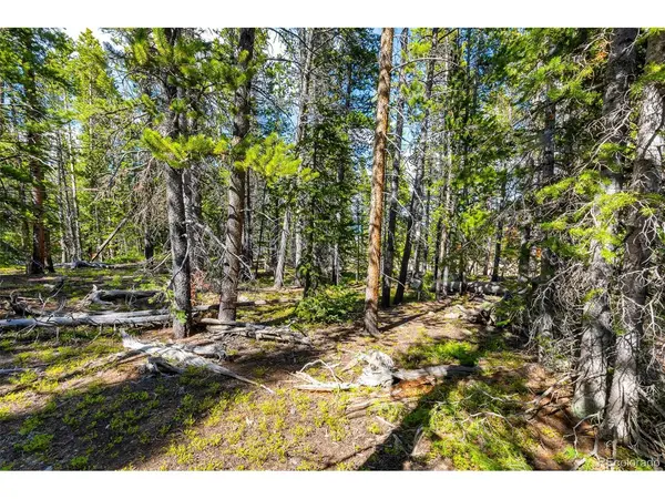 440 Gold Trail, Fairplay, CO 80440