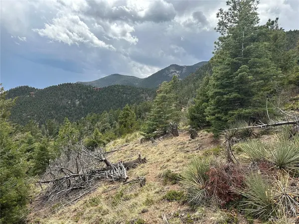 275 Upper Vista, Manitou Springs, CO 80829