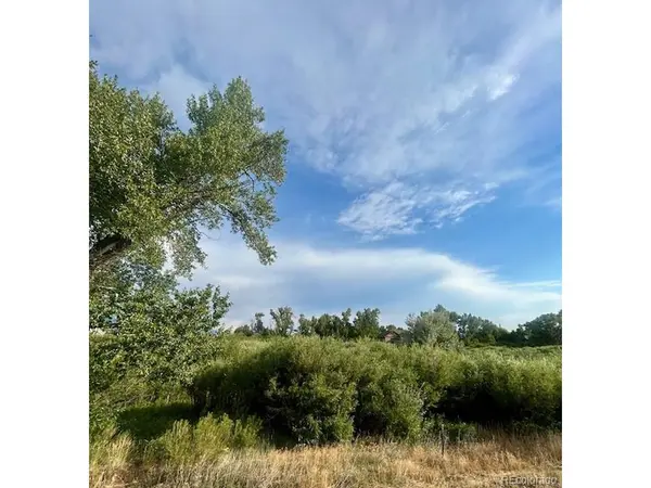 1105 Little River, Poncha Springs, CO 81242