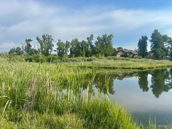 1105 Little River, Poncha Springs, CO 81242