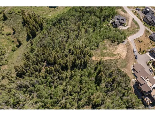 70 Mayfly, Silverthorne, CO 80498