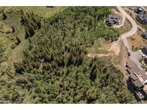 70 Mayfly, Silverthorne, CO 80498