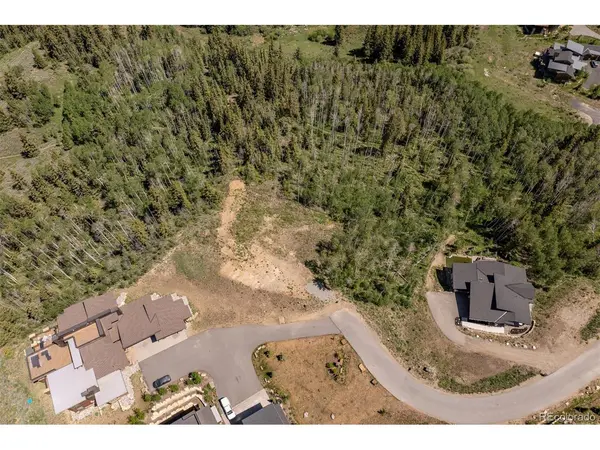 70 Mayfly, Silverthorne, CO 80498