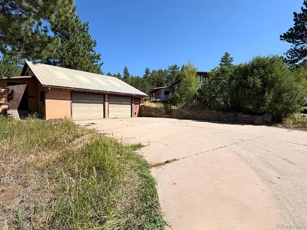 278 Blue Grouse, Westcliffe, CO 81252