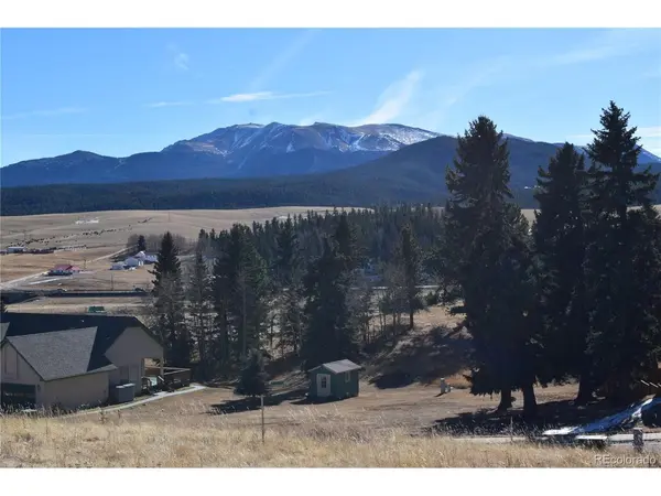 108 Allison, Divide, CO 80814