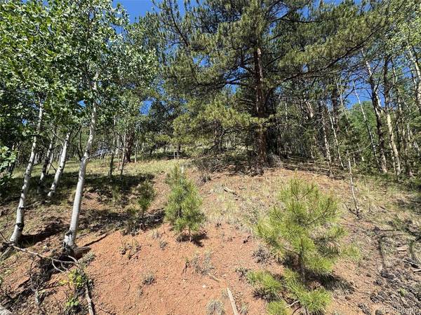 Address not disclosed, Divide, CO 80814