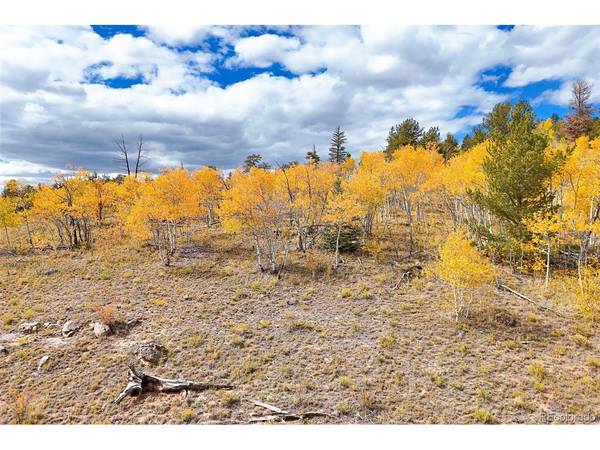 3370 Remington, Jefferson, CO 80456