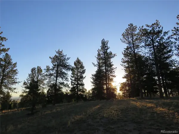 9389 Ranch, Hartsel, CO 80449