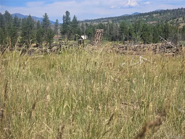 695 Cogbill, Fort Garland, CO 81133