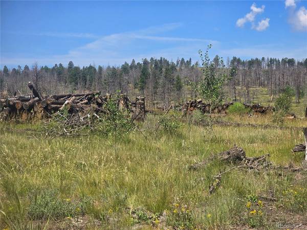 695 Cogbill, Fort Garland, CO 81133
