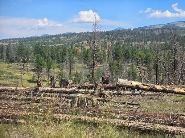 695 Cogbill, Fort Garland, CO 81133
