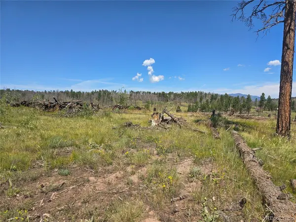 695 Cogbill, Fort Garland, CO 81133