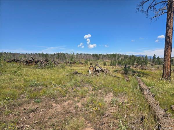 695 Cogbill, Fort Garland, CO 81133