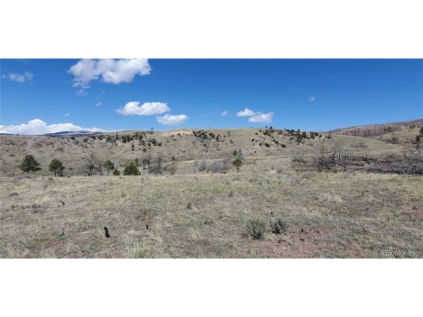7699 Marie, Fort Garland, CO 81133