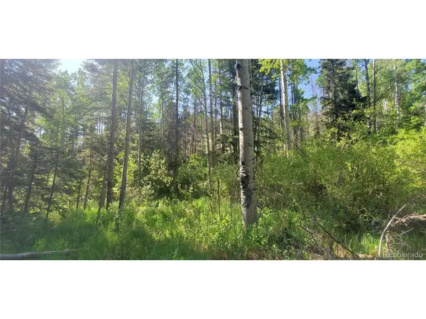 5660 Kawasaki, San Luis, CO 81152