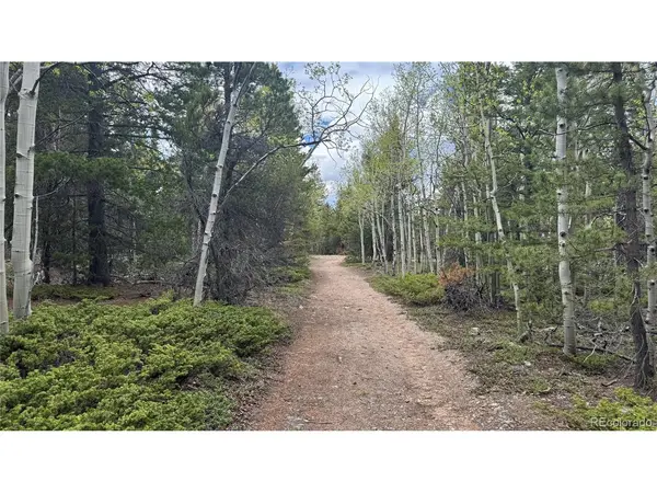 5 Roy Smith, Central City, CO 80427